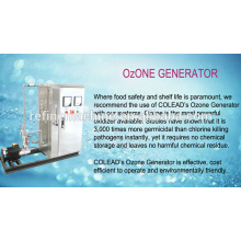 SUS 304 ozone sterilization machine/ozone washing machine/ozone fruit and vegetable sterilizer